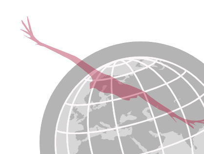 KonzeptGrafik